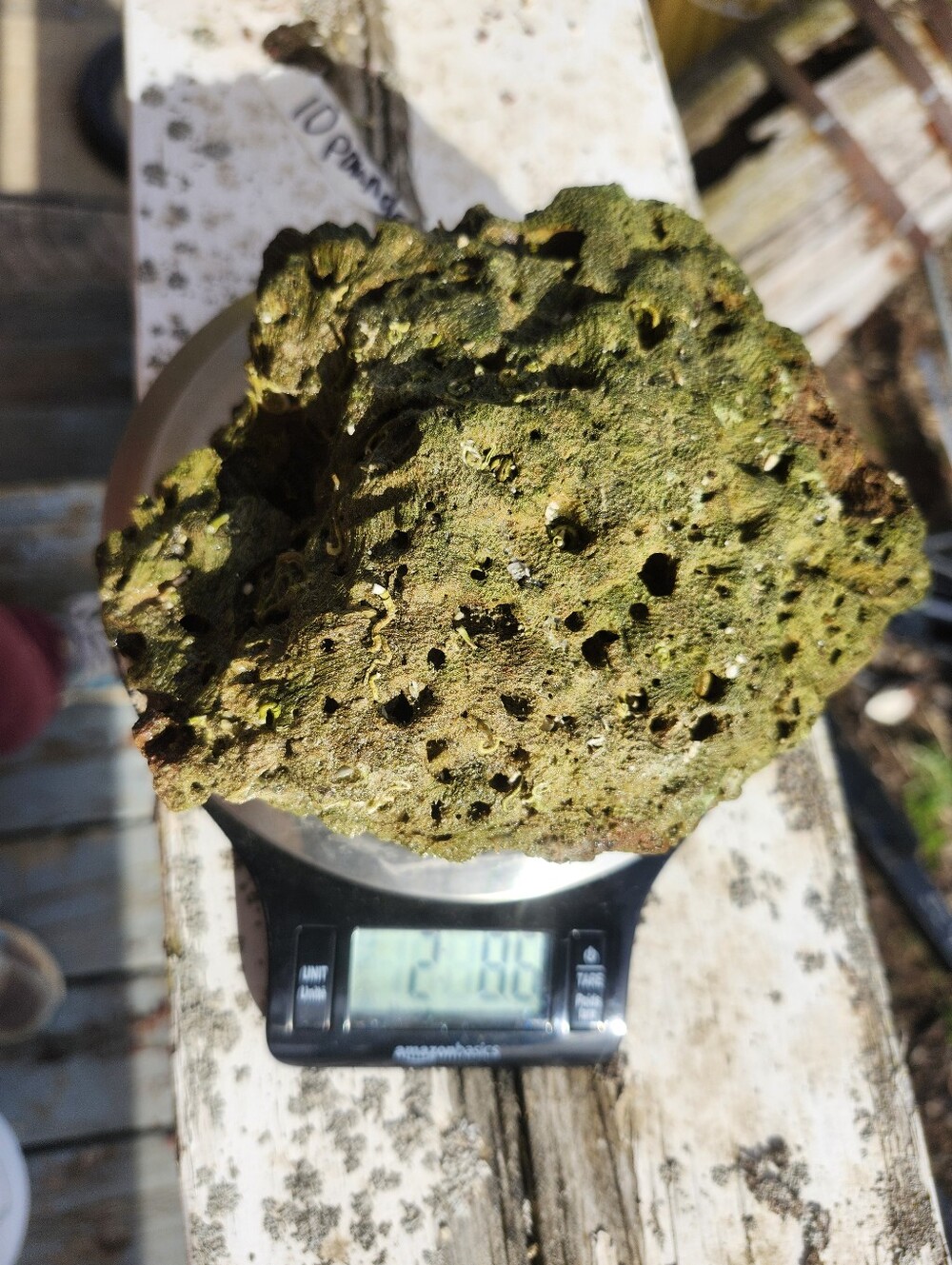 Fiji Dry Base Rock for Saltwater Aquarium Setup Natural Reef Rock Aquascaping